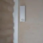 Gravina 31 * セビリア